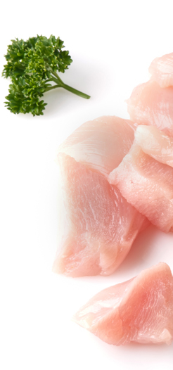Paas Food Industries Kippenblokjes